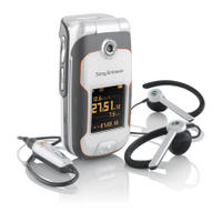 SonyEricsson W710i